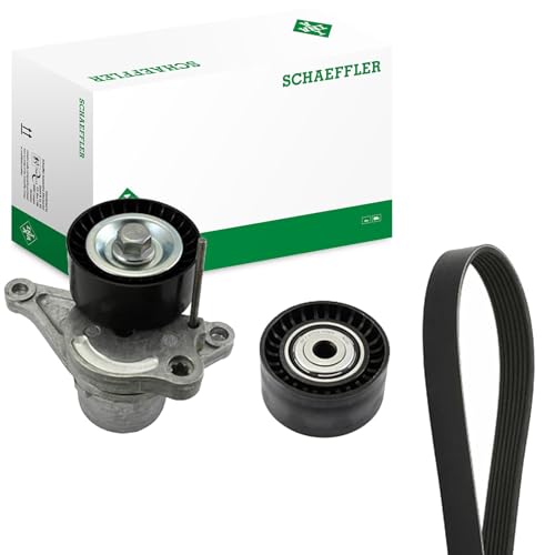 Courroie INA 529 0352 10 : finis les sifflements moteur sur Master III