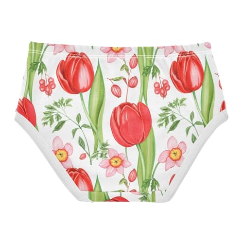 Girls Underwear Toddlers 2t Cotton Cute Panties Girl Pattern Kids Undies Briefs Watercolor Red Tulips White2