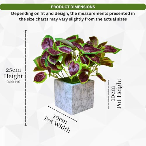 Image of fancymart Artificial Plant with Real-Touch Leaves in Pot, 25 cm, Indoor Tabletop Item for Home Decor, Office, Living Room