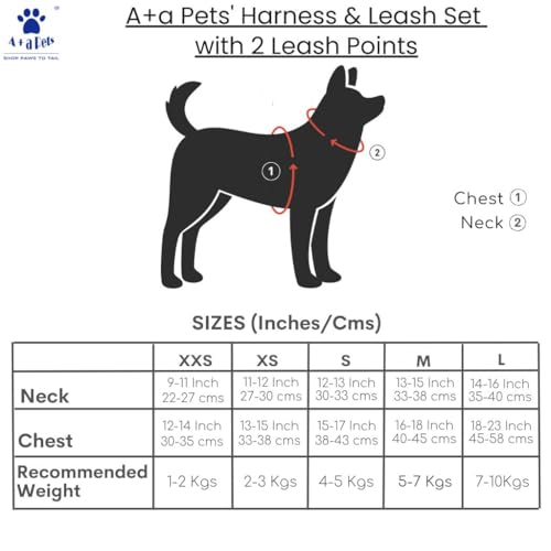 Image of A+a Pets' Harness & Leash Set(Combo) for Cats, Puppies, Small Dogs with 2 Leash Points - Escape Friendly | Night Safety | Reflective Strips |100% Cotton (Blue, XXS)