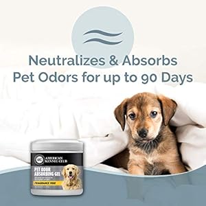 SMELLS BEGONE Pet Odor Absorber Gel – Air Freshener & Odor Eliminator – Formulated for The Toughest Pet Odors – Fragrance Free – 15 Ounce – 2 Pack