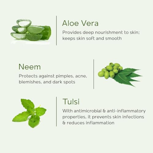 Image of Roop Mantra Ayurvedic Aloe Vera Face Wash With Tulsi & Neem | Deep Cleansing And Hydrating| Paraben & Sulphate Free| Reduces Acne And Blemishes| Natural Glowing Skin For Men & Women | 115ml(Pack Of 2)