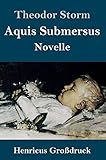 Aquis Submersus (Großdruck): Novelle