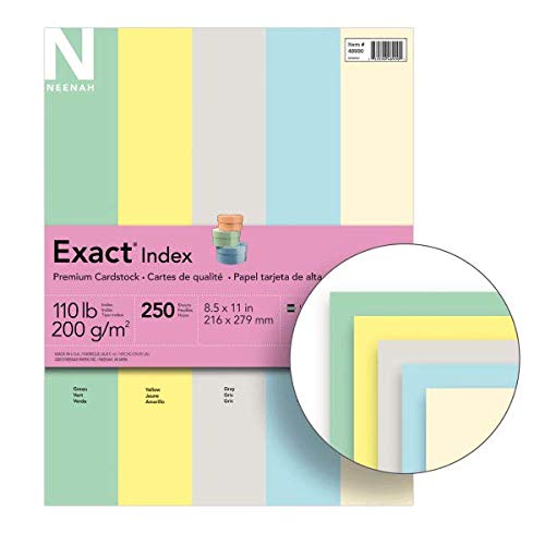 Neenah Wausau Exact Index Cardstock, 110 Lb, 8.5 X 11 Inches, 5 Color Pastel Assortment, 250 Sheets (48990), Green, Canary, Gray, Blue & Ivory #TOP1