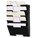 Wallniture Lisbon Wall Mount Steel Vertical File Organizer Holder Rack 5 Sectional Modular Design Multi-purpose Organize Display Magazines Sort Files and Folders (Black)