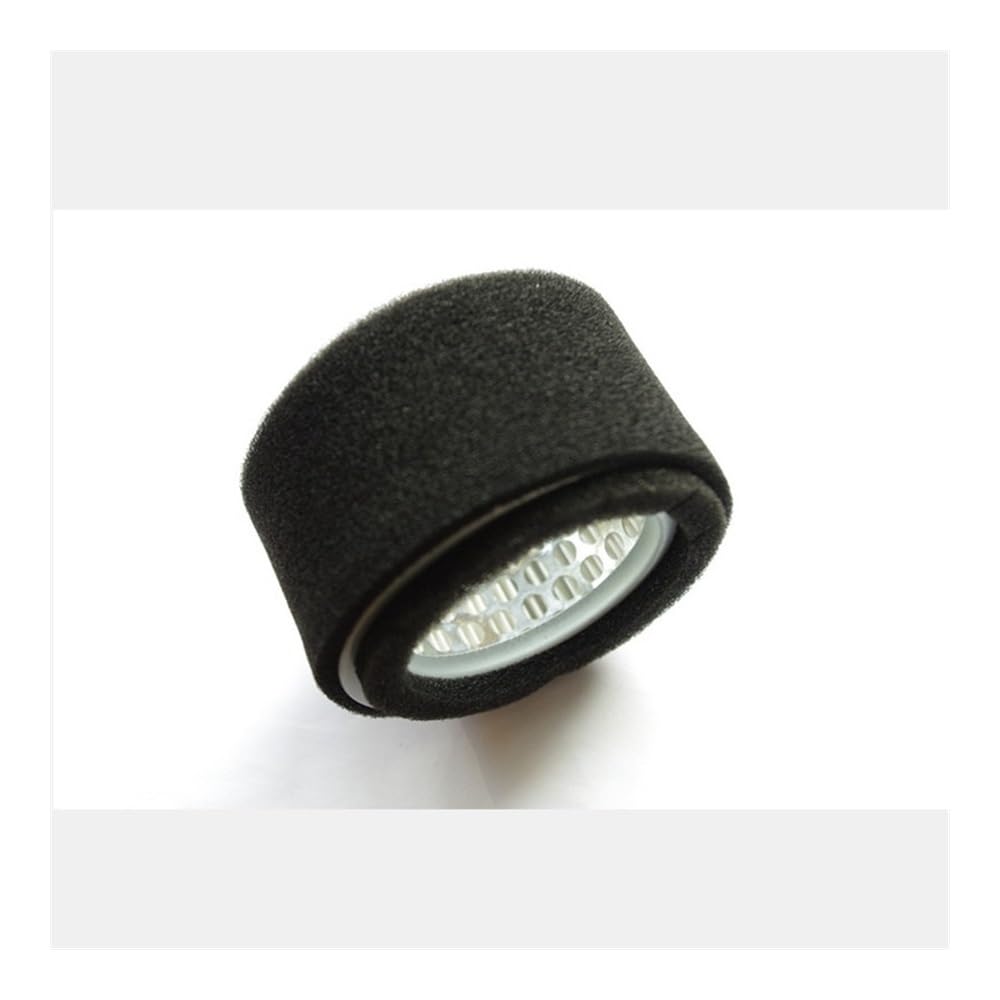 Filtro de Aire EC08/10/12 Compatible con Motor EC08, EC10, EC12, desbrozadora, Recortadora, Repuesto de Filtro de Aire(2 X Air Filter)