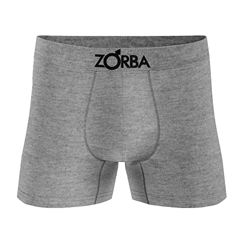 Kit 6 Cuecas Boxer Polo 100% Algodão Box Masculinas Tamanho:M;Cor:Sortida