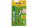 Capacidad: 10 gramos NOVAR 14041415 Ecogel Hormigas Jeringa Gramos Blister, Verde Y Amarillo, 10 g (Paquete de 1)
