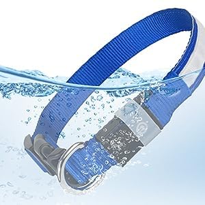 Super reflective light up rechargeable LED dog collars, 5 options in 3 sizes. Adjustable - Image 4