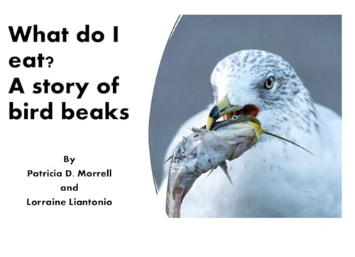 What do I eat? A story of bird beaks (Early