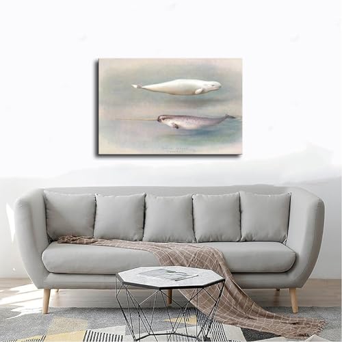 Poster Narval et baleine blanche décoration murale sans cadre