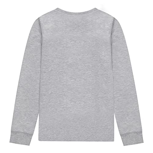 Champion Boys Long Sleeve Tee Shirt Kids Tops (Oxford Heather, Large) #TOP1