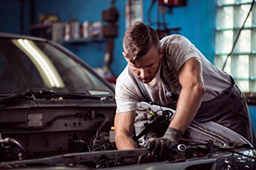 Ironcube Ratcheting Combination Wrench Set, Sae, 8-Piece, 5/16" To 3/4", Chrome Vanadium Steel, With Carrying Bag #TOP5