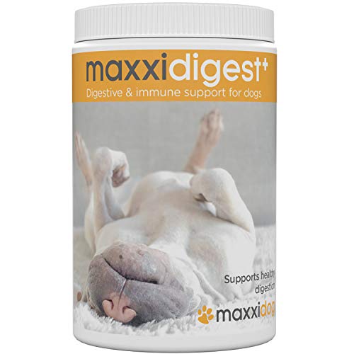 maxxipaws maxxidigest+ Supplement voor Spijsvertering en Immuunsysteem voor Honden met Probiotica, Prebiotica en Spijsverteringsenzymen - Poeder 375 g