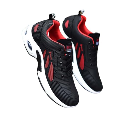 [DONSHUR] EH[LOV[Y i J Xj[J[  ₷ C hV[Y Y hXj[J[ ^C y d y ɂ  L 䕗 ʊw AEghA X|[c WMO jO ʋ