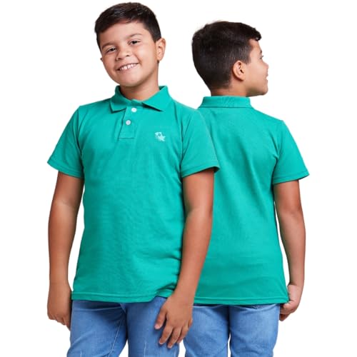 Kit 3 Camisa Polo Basica Infantil Masculina (BR, Idade, 8 Anos, Regular, AZUL - VERDE - VERMELHO)