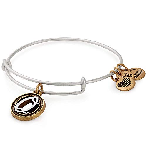 Alex and Ani Women s Initial Q II Bangle Two Tone Bracelet, Rafaelian Silver, Expandable