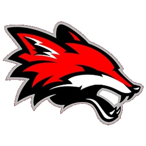 Yorkville&rsquo;s Ellie Fox strikes out 15 with 250th career strikeout: Thursday&rsquo;s Record Newspapers sports roundup