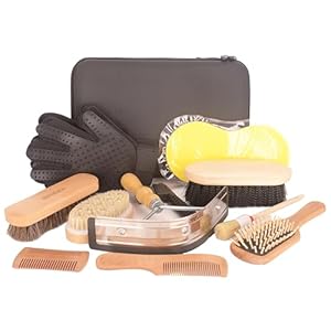 Horse Grooming Kit （10-Piece） with Tote，Horse Cleaning Tool Set with Assorted Hair and Curry Comb, Hoof Pick Sweat Scraper，Grooming Gloves，Portable Black Storage Bag，Riding Equipment for Beginners