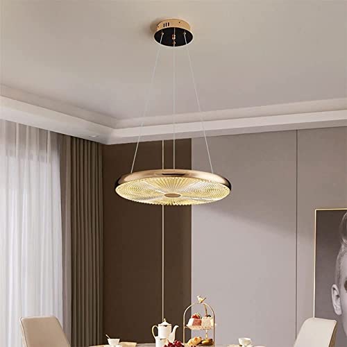 Chandelier LED suspendu moderne 30cm avec intensité variable pour le salon - 5