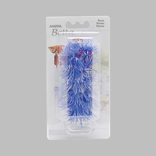 Marina Betta Hornwort Plant with Suction Cup, 12.7 cm, Blue, Baby Blue, 5 Inches - Image 2