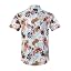 Floral Sky Blue Brown Pink