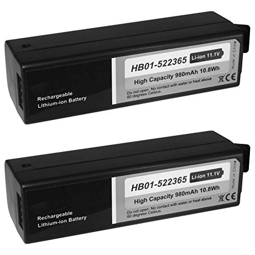 Consegna: 2x Batteria ricaricabile ad alte prestazioni