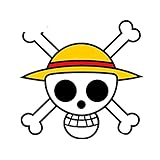 Pegatinas de bricolaje para usar en su coche, motocicleta, bicicleta, monopatín, snowboard, ordenador, portátil, equipaje, estuche de viaje ¿Por qué no hacer que sus pertenencias se destaquen con estas populares pegatinas?