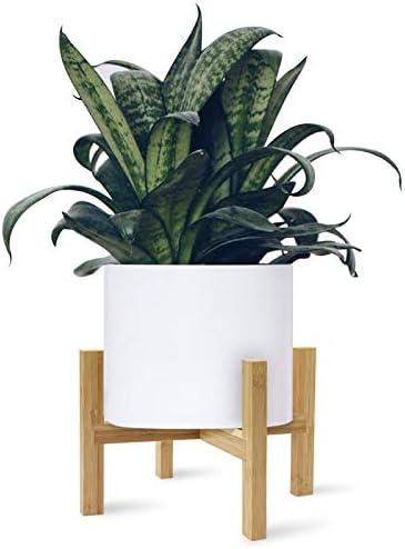 Daorfaa Bamboo Plant Stand, Flower Potted Holder, up to 8 Inch Pot - Nature, Mid Century Modern (Pot Not Included)