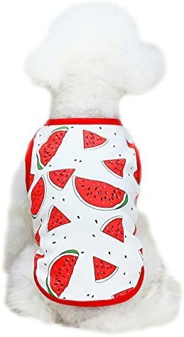 Amazon | 春物夏物犬服フルーツ柄タンクトップ犬用わんちゃん夏服