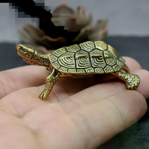 g^JT̑i~jT̒uybgfXNgbv - F: Ttoise