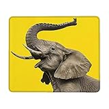 【DURABLE ET LISSE】: Le tapis de souris offre une surface douce et lisse pour un mouvement fluide et un contrôle précis. Ses bords finement finis empêchent l'usure, garantissant une durabilité à long terme sans déformation ni pelage