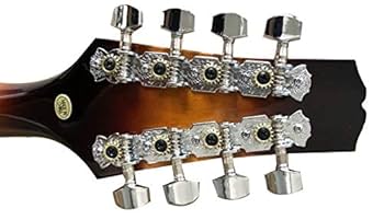 PLAYTECH ( プレイテック ) PFM10F　フラットマンドリン PLAYTECH ( プレイテック ) PFM10F Fスタイルフラットマンドリン