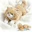 Yellow Cat Weighted Teddy