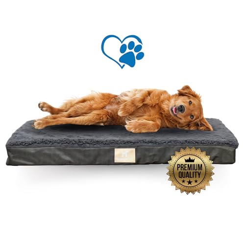 Roarga Pets Cama Perro Grande Ortopédica 76x51x8 CM Cama Perro Ve...