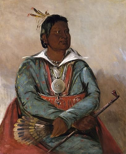 Tableau Impressions d'art Mural George Catlin Grand Poster Vintage 60x90