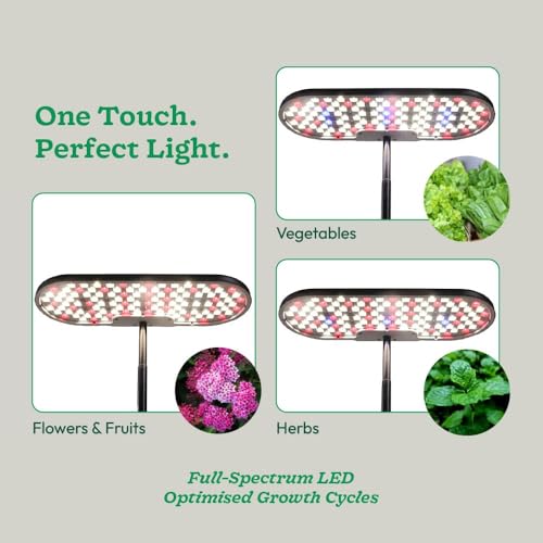 Image of UGAOO Smart Indoor Hydroponic System for Home with LED Grow Light | Indoor Hydroponic Garden | Smart Garden | Indoor Grow Kit | 6L Water Tank | 3 Grow Modes | Starter Kit