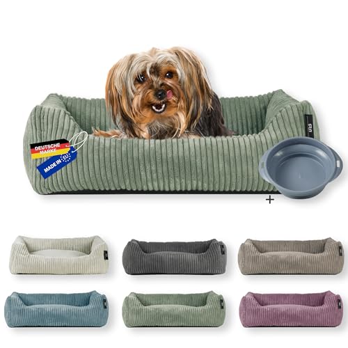 Rohrschneider Hundebett | für kleine Hunde | mit Hundekissen Cord | waschbarer Bezug | inkl. Futternapf (Salbei, 55 x 42 cm)