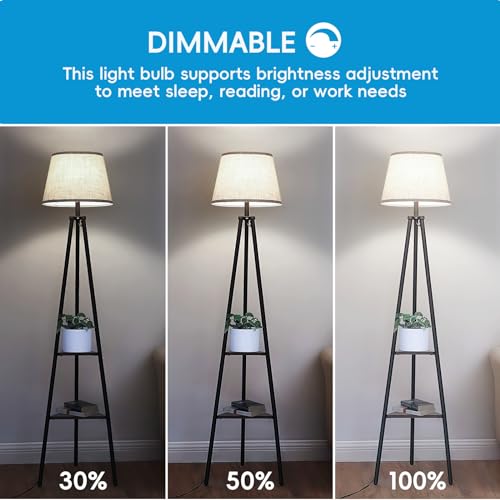 Image of Jensense Edison Bulbs E26 LED Bulb 60 Watt Equivalent, Vintage LED Light Bulbs CRI90+ ST19, Dimmable Clear Light Bulbs (2700k Warm White, 8watt-4 Pack)