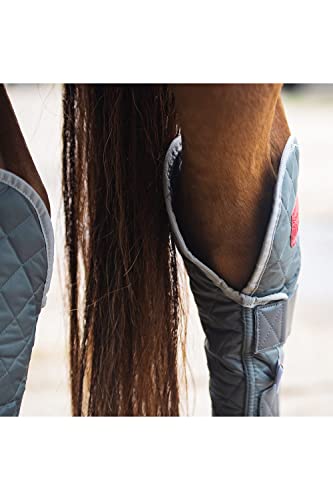 Equilibrium Therapy Hind & Hock Magnetic Chap X Large gris pour jarret de cheval