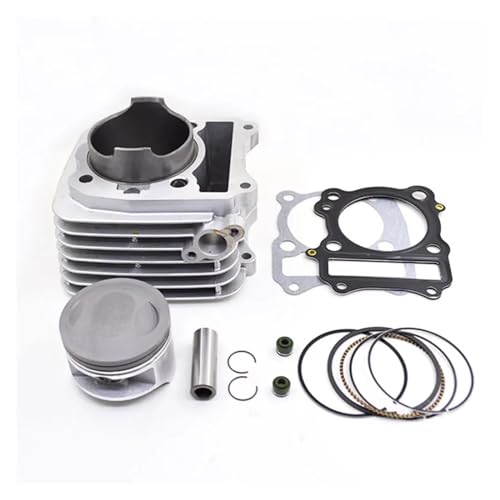 Kit de segments de piston de cylindre DR200 haute résistance DF200 - 2