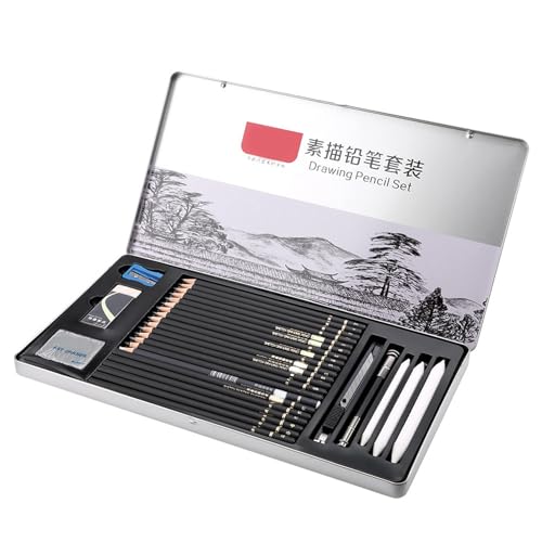 Ensemble de crayons à croquis parfait pour offrir aux artistes
