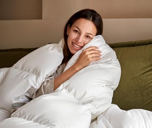 baisihan OverCloud™ Goose Down Comforter, Queen Size All Seasons Down Duvet Insert, Hotel Collection Comforter Ultra Soft 700+ Fill Power Down Proof Duvet Insert with Corner Tabs (90