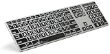 Logickeyboard LargePrint White on Black - Mac Advanced Line Keyboard - LKBU-LPRNTWB-AM89-US