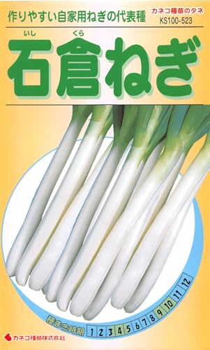 JlRc |E KS100V[Y Αq˂ 100 523