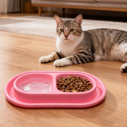 Kitten Starter Kit para gatitos en interior, incluye arenero rosa miniatura 5