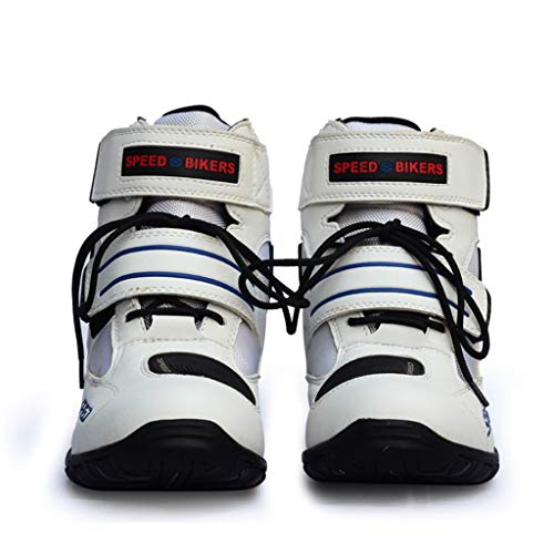 [PSLER] Y CfBOV[Y U[ [XAbvV[Y [VOu[c veNg V[g X|[cu[c ϏՌ vC ~ ʋC R 