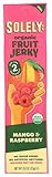 SOLELY Organic Mango & Raspberry Fruit Jerky, 0.8 OZ