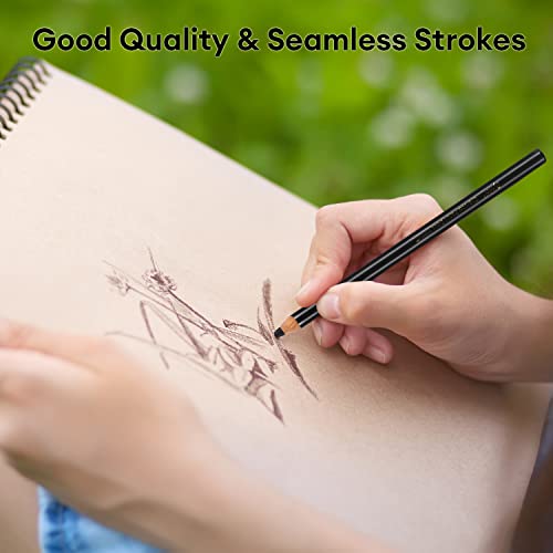 Dyvicl Charcoal Pencils Drawing Set, 12 Pieces Colored Charcoal Pencils For Drawing, Sketching, Shading, Blending, Highlight White Pencils For Beginners And Artists #TOP5