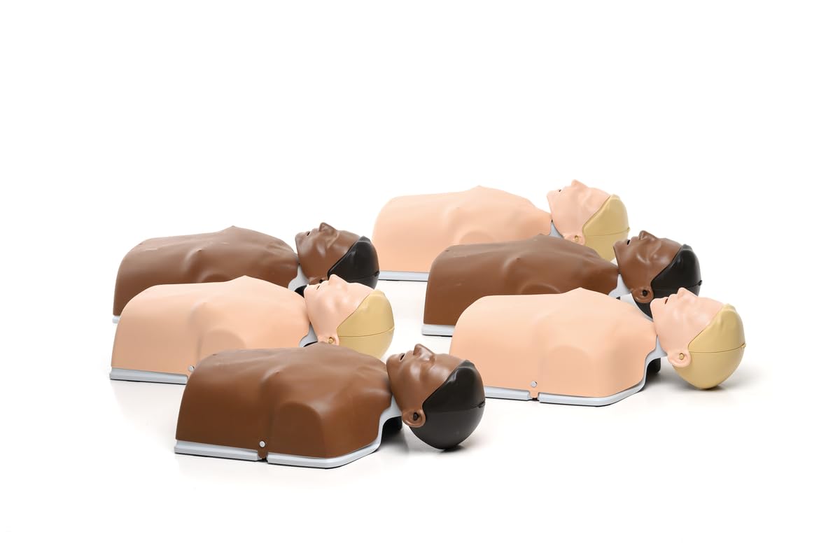 Little Anne Combo 6-pack